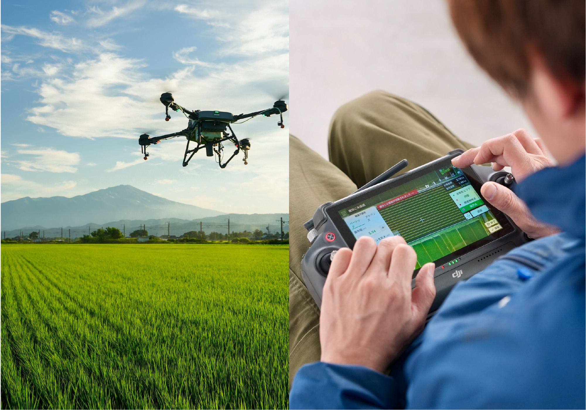 ドローンと水田