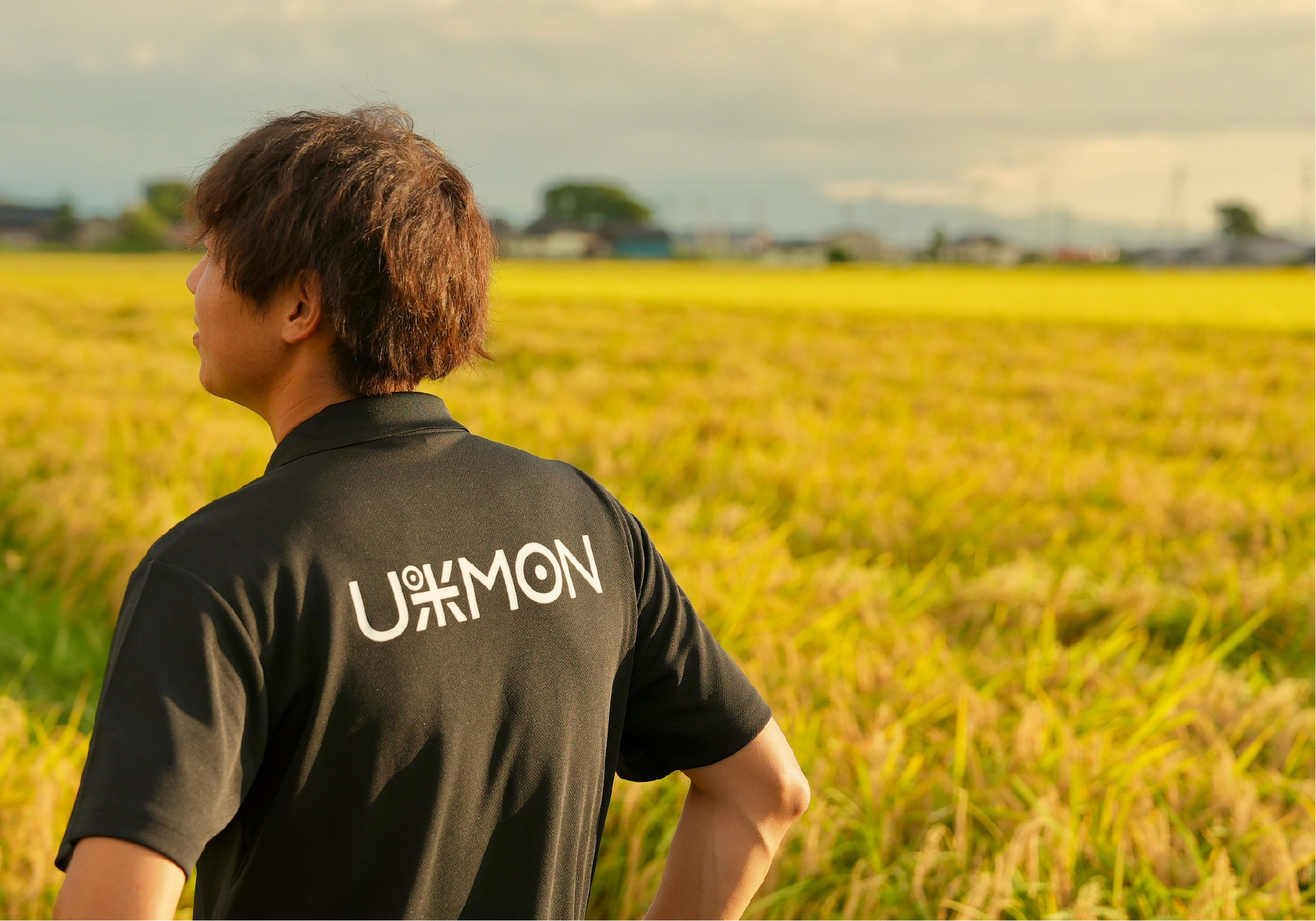 収穫前の稲と裕太