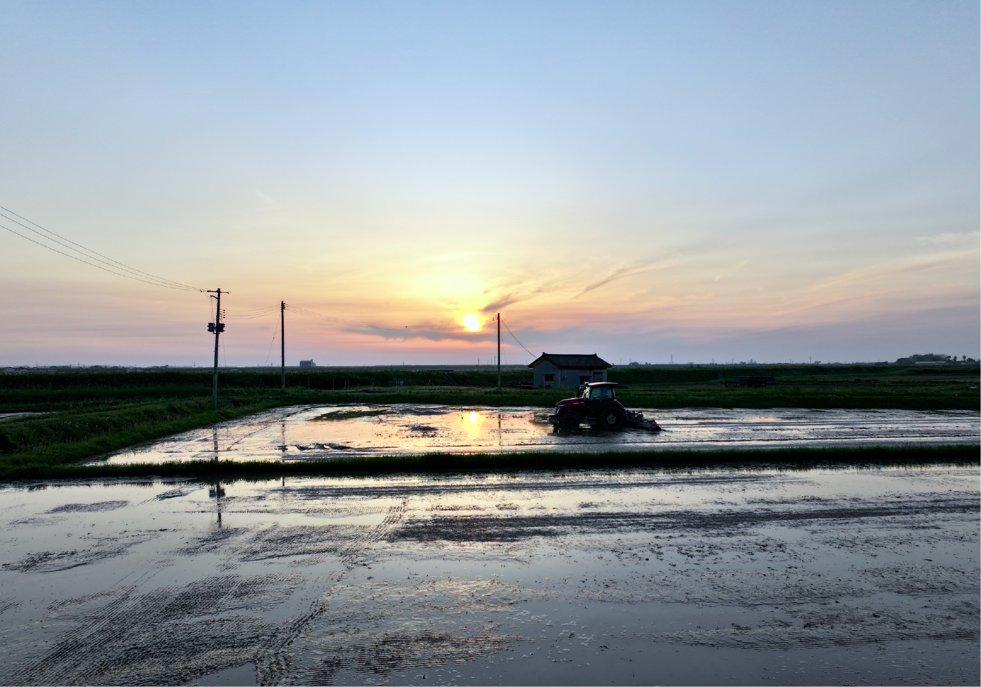 早朝のトラクター