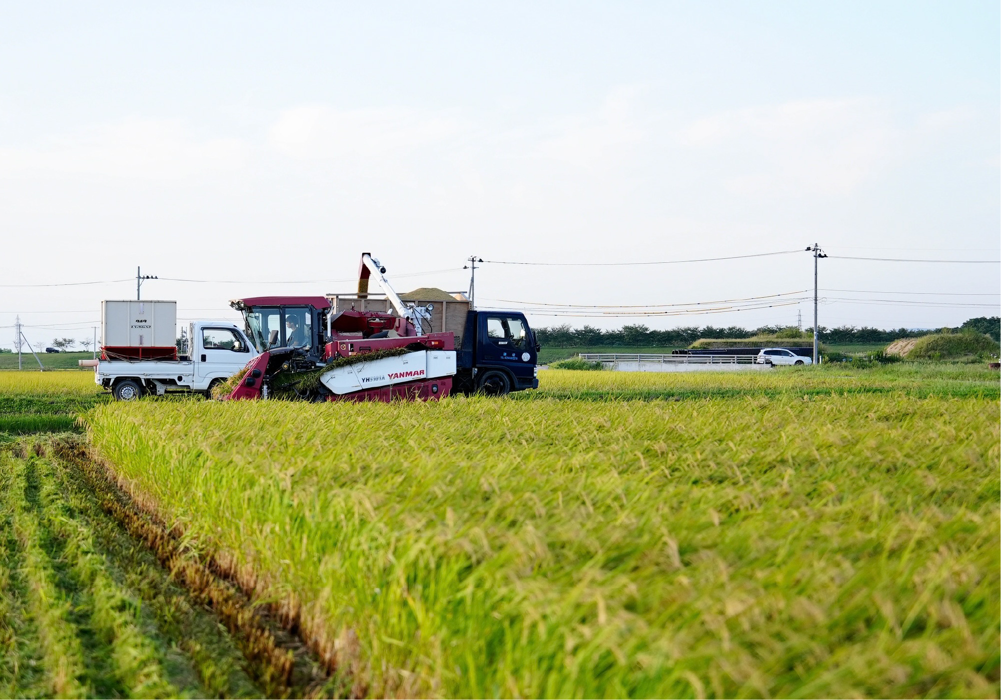 コンバインとトラック
